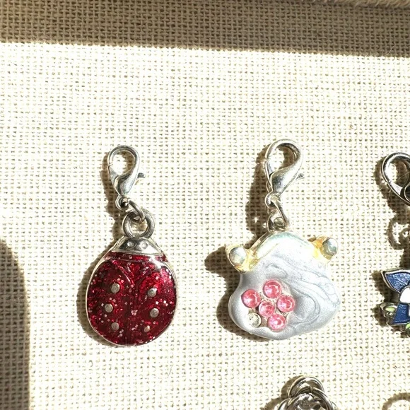 ↖️12 Charms: Bundle - Picture 7 of 8
